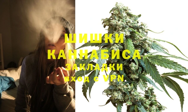 гидра Алексеевка