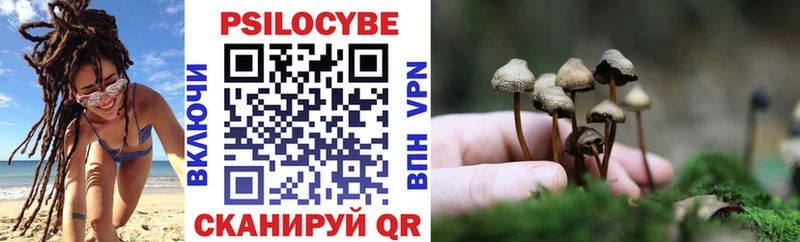 Галлюциногенные грибы Psilocybe Лениногорск