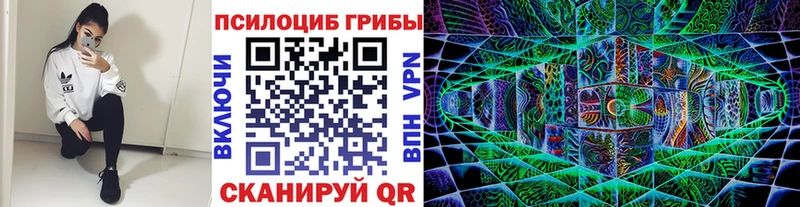Псилоцибиновые грибы прущие грибы  Лениногорск 